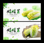 娃娃菜