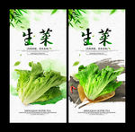 生菜