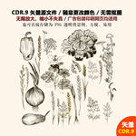 手绘植物花草矢量图