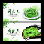 荷兰豆