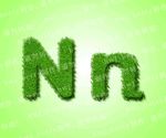 绿色草地英文 Nn