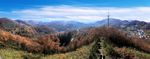 长岭岗
