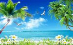 海景椰子树