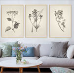 欧式创意怀旧复古质感树叶无框画