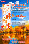 胡杨林旅游