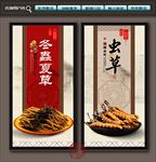 冬虫夏草