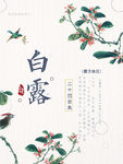 中国风简约白露节气海报