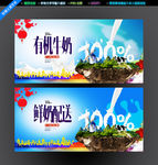 有机牛奶