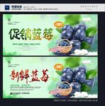 蓝莓