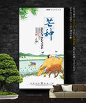 芒种
