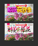 紫薇花