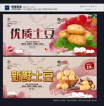 土豆