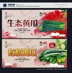 有机黄瓜