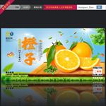 橙子 海报