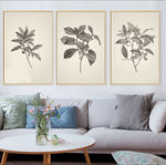 美式小清新植物标本树叶装饰画