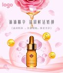 玫瑰精油海报