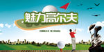 高尔夫