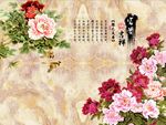 富贵吉祥牡丹花