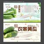 黄瓜