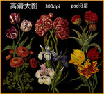 手绘花卉植物