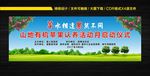 苹果树认养活动背景