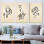北欧简约复古叶子植物无框装饰画