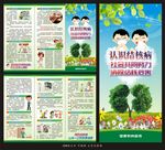 预防结核病三折页
