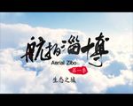 航拍 生态