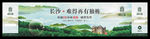 独栋别墅