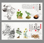 中医文化 传统中医