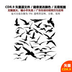 手绘小鸟剪影小鸟海鸥剪影矢量图