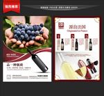 红酒宣传单