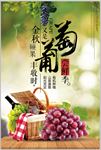 葡萄海报