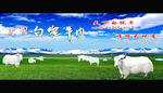 白牦牛宣传广告画