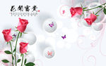 现代玫瑰蝴蝶简约圈圈电视背景墙