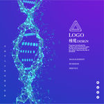 分子结构DNA