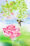 小清新水彩无框画