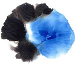 水墨 抽象水墨 创意水墨 笔刷