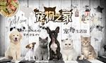 宠物之家背景墙装饰画