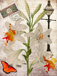 蝴蝶花卉装饰画