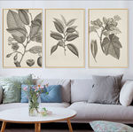 北欧简约复古叶子植物装饰画