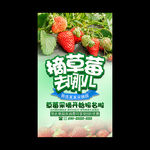 草莓
