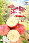 清新苹果海报