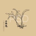 石橄榄