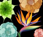 花 元素