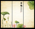 荷花