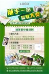 摄影比赛海报