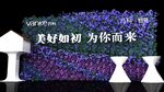 签到花墙