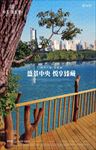 树 桥 木栈道 栏杆 河 湖