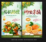 脐橙